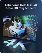 Reolink 4K Überwachungsset Home Hub mit 2 Argus PT Ultra Solarkameras