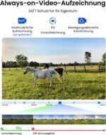 Reolink TrackMix LTE Plus 2 Akku-Kamera mit Solarpanel