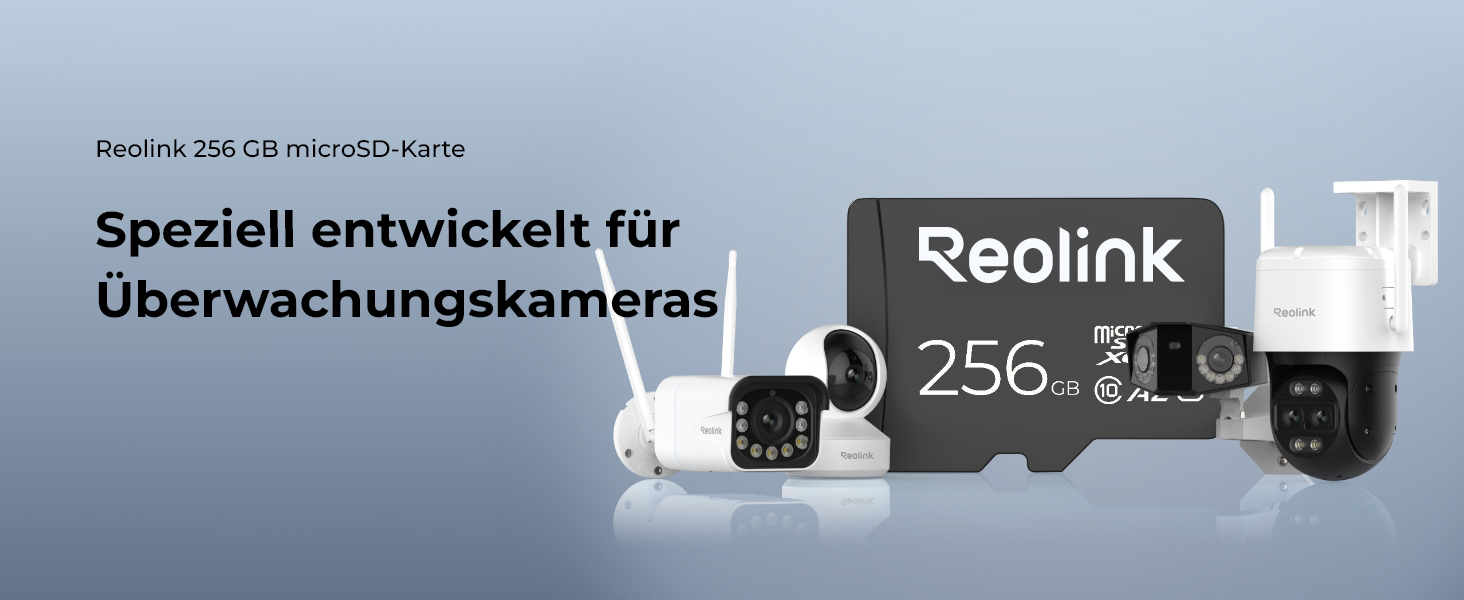 Reolink SD-256GB microSDXC Speicherkarte 256 GB für Überwachungskameras – Detail 1
