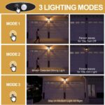 Flacchi Solarlampe mit Bewegungsmelder als Set