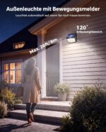 Peasur Solarlampe mit Bewegungsmelder Kaltweiss
