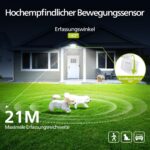 Philips Solarlampe für Aussen mit Bewegungsmelder Produktfoto