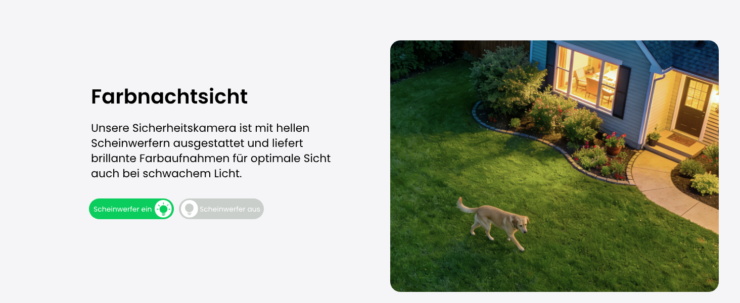 Reolink Home Hub Mini mit zwei Lumus 2K Überwachungskameras für Aussen – Detail 7