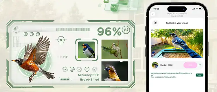 KI-Vogelerkennung in der App