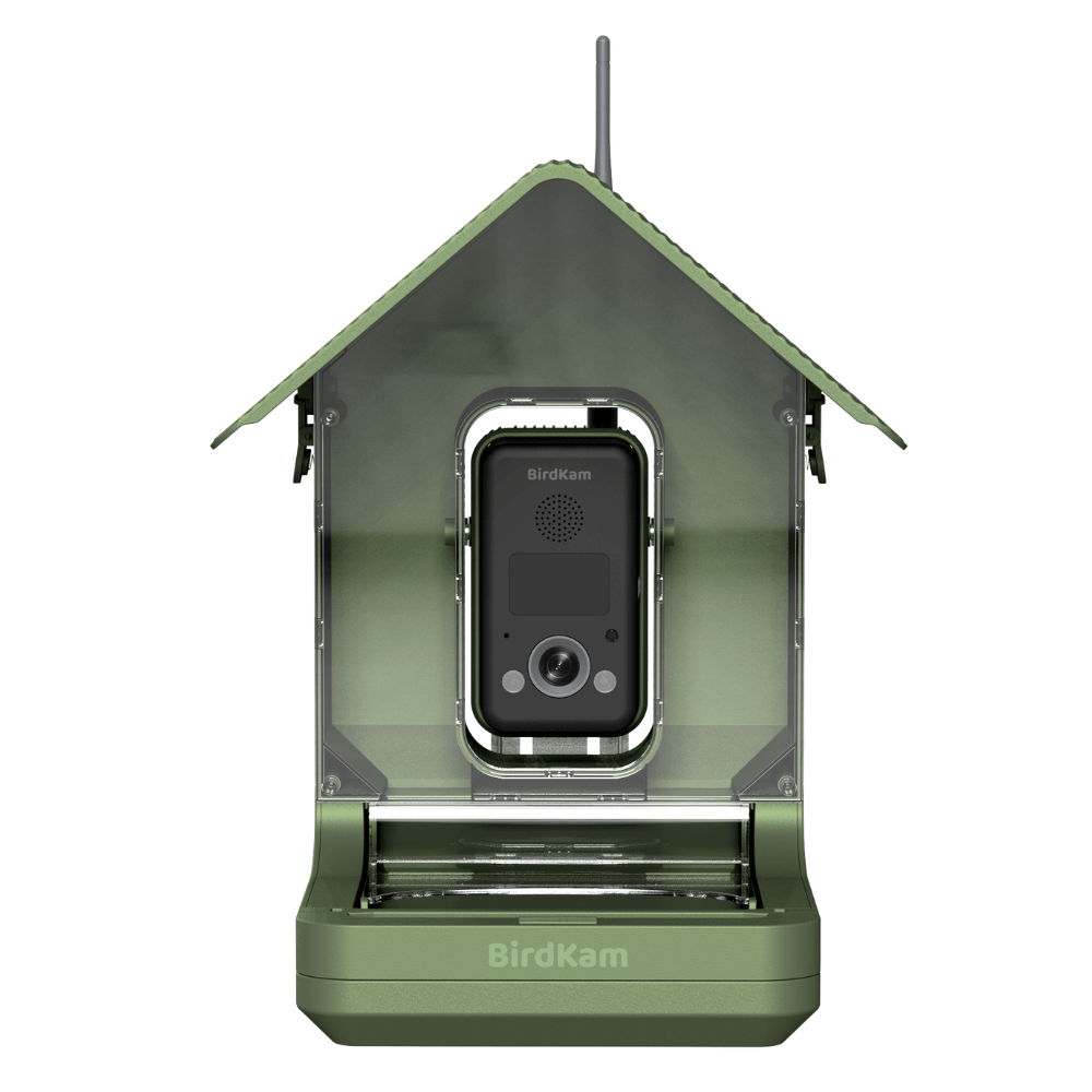 Vogelhaus mit Kamera BirdKam750, 4K und KI-Vogelerkennung Vogelhaus mit Kamera BirdKam750, 4K und KI-Vogelerkennung