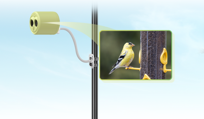 BirdKam800 an der Futterstation mit Nahfokus-Objektiv
